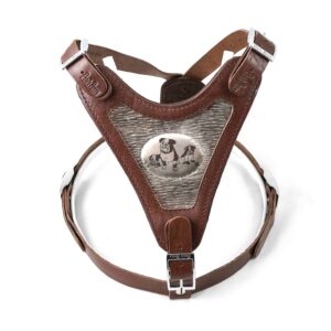 Barcelona Harness