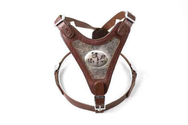 Barcelona Harness