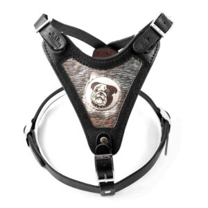 Manilla Harness