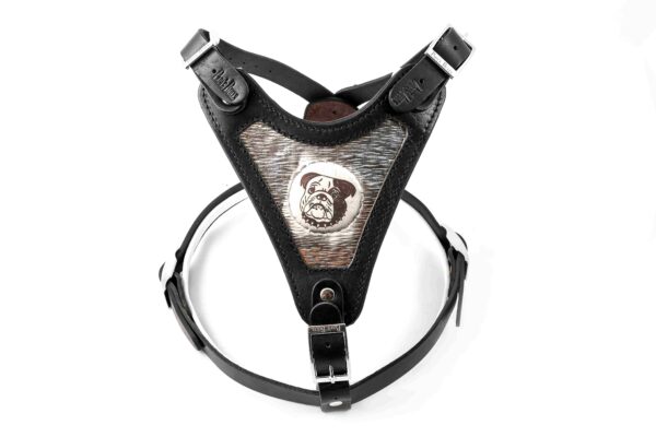 Manilla Harness