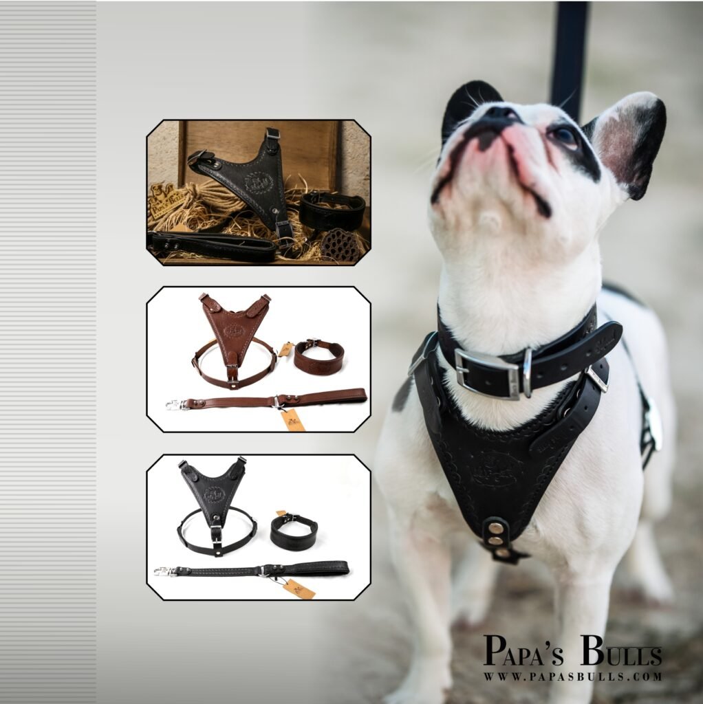 harness set pupienus maximus's 2