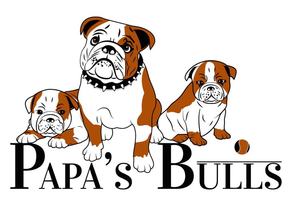 Untitled 9 03 Scaled 1024x724